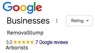 google reviews