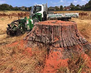 stump grinding operation